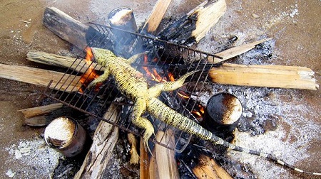 Economic Recession: Nigerians Now Eating Lizards, Cats and Frogs to Survive